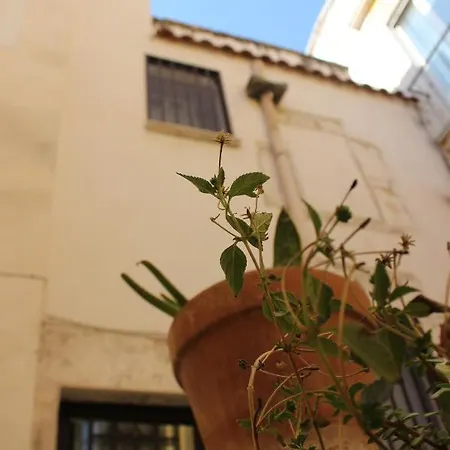 Tatil Evi Casa Torre Dell'angelo Bitonto